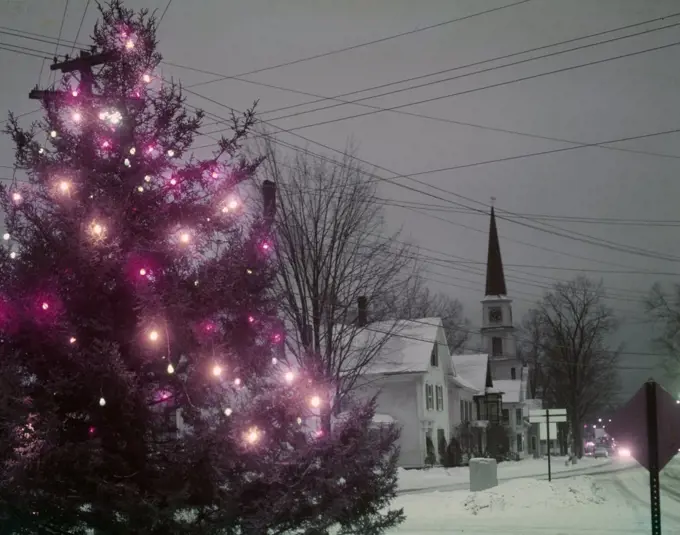 Illuminated Christmas tree in town