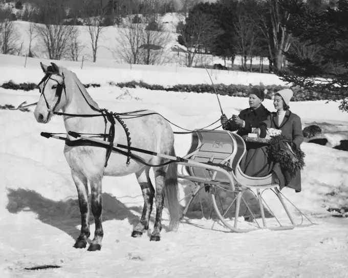 Young couple riding in sleigh pulled by horse