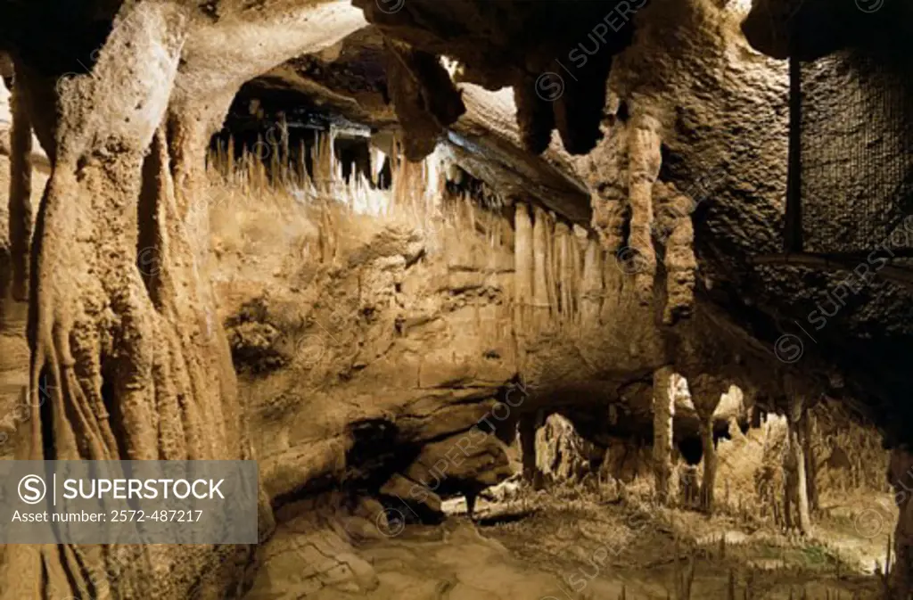 Mammoth Cave National ParkKentuckyUSA