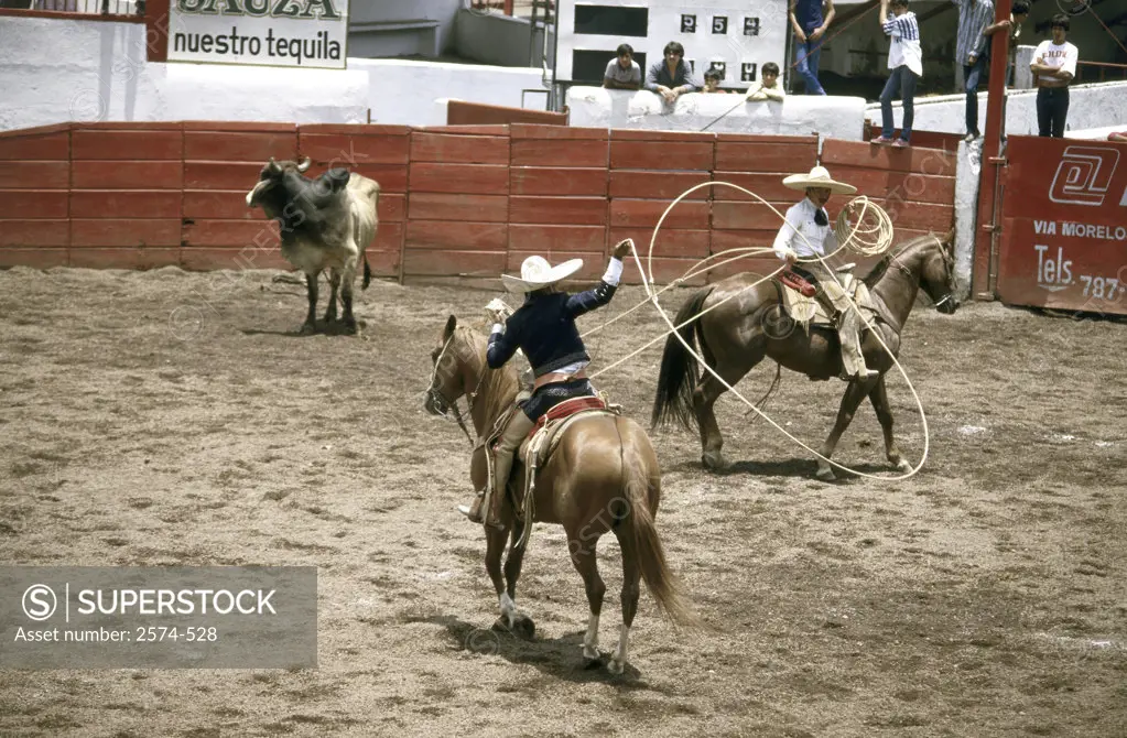 High angle view of two cowboys lassoing a bull at a rodeo, Charreada, Mexico