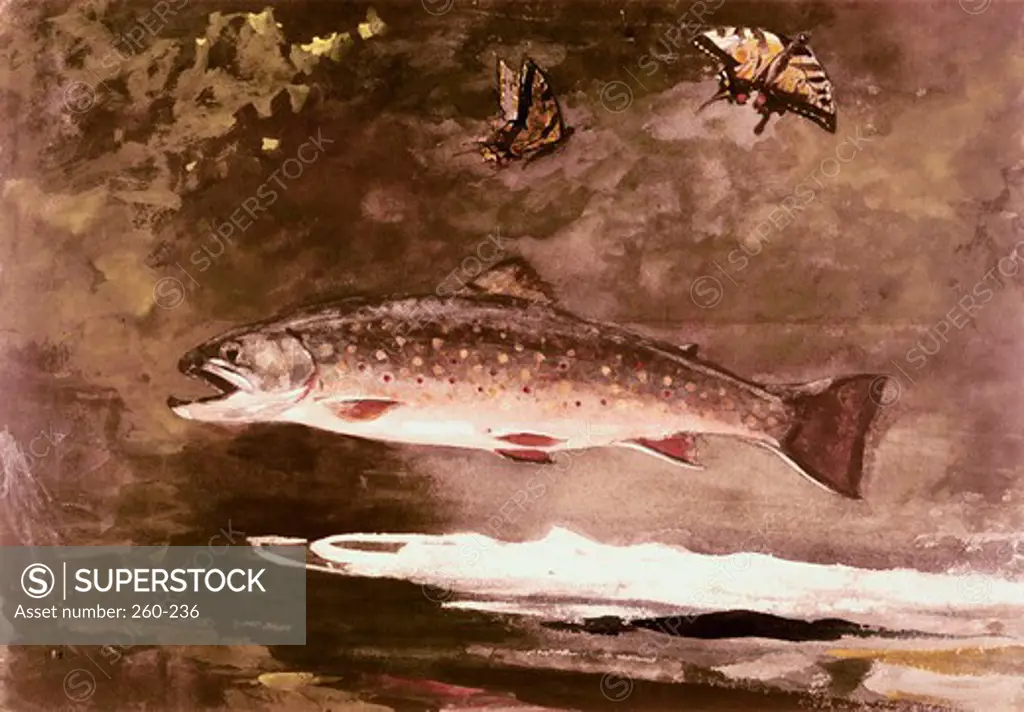 Title Unknown (Fish) Winslow Homer (1836-1910 American)