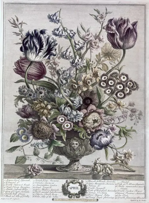 April  1730 H. Fletcher  (ca.18th C. British) Lithograph 