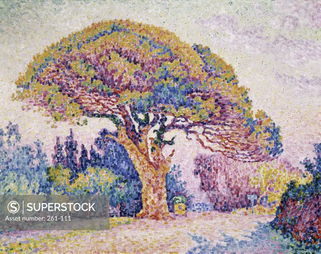 Pine Tree in St.Tropez  1909  Paul Signac (1863-1935/French)  Oil on canvas Pushkin Museum of Fine Arts, Moscow     