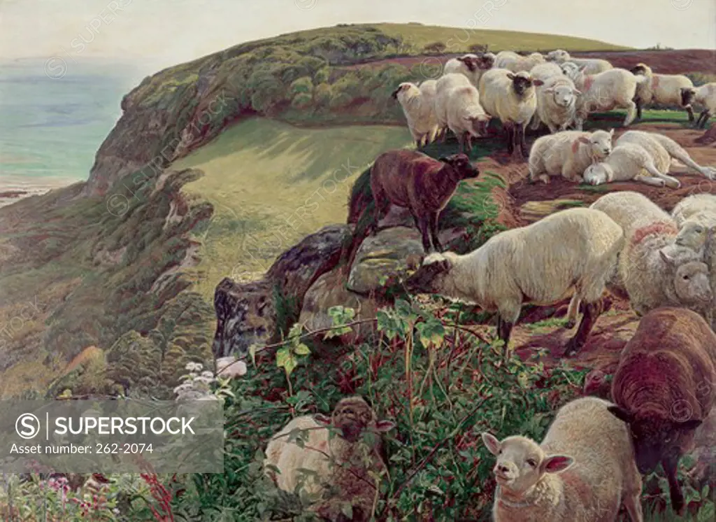 Our English Coasts (Strayed Sheep) 1852 William Holman Hunt (1827-1910 British)  Oil on canvas Tate Gallery, London, England