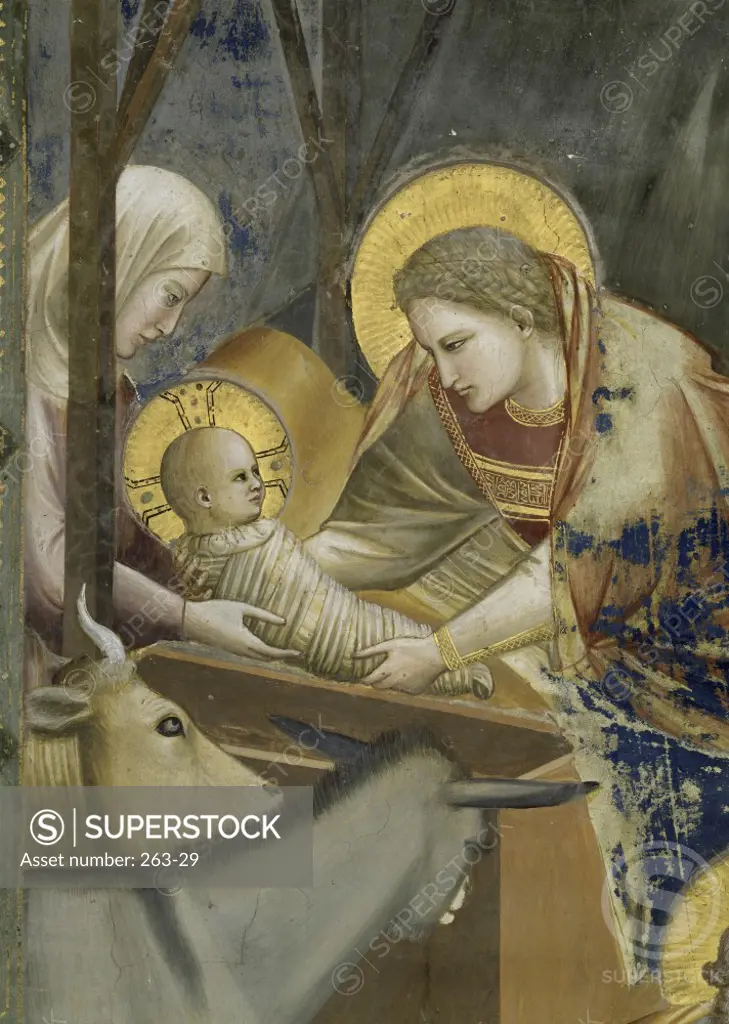 The Nativity (Detail)  c. 1305-1313 Giotto di Bondone c. (1266-1337/Florentine) Fresco  Arena Chapel, Cappella degli Scrovegni, Padua  