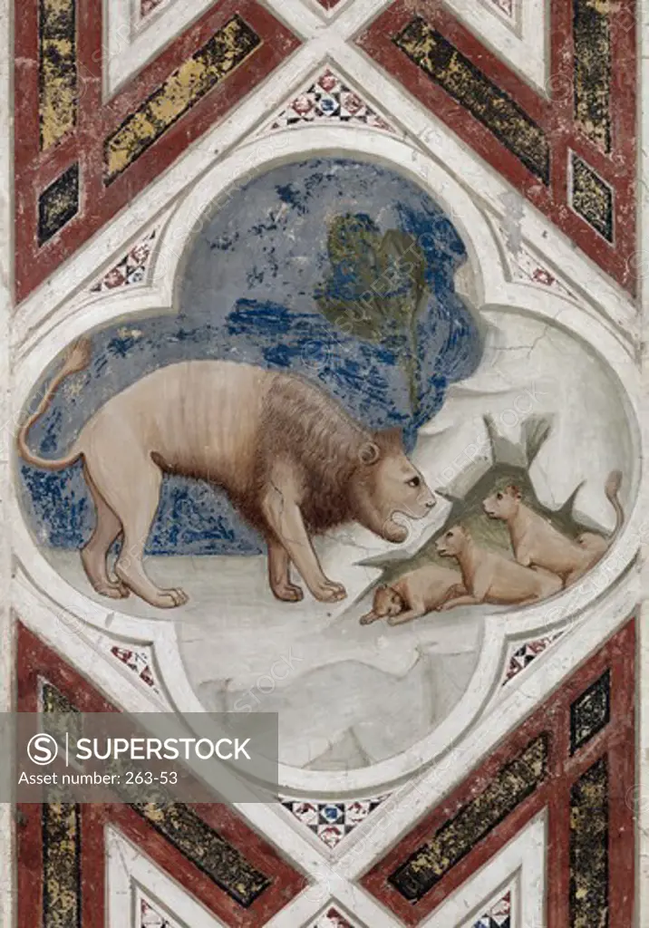 Lioness with her Cubs Giotto di Bondone (C. 1266-1337 Florentine) Arena Chapel, Cappella Degli Scrovegni, Padua 