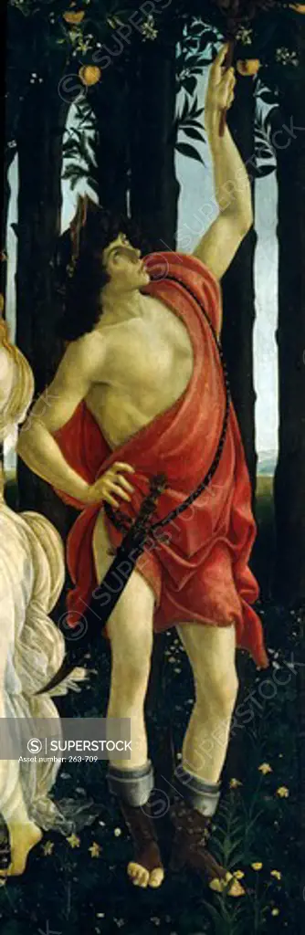 La Primavera by Sandro Botticelli, tempera on wood, 1481, detail, 1444-1510, Italy, Florence, Galleria degli Uffizi