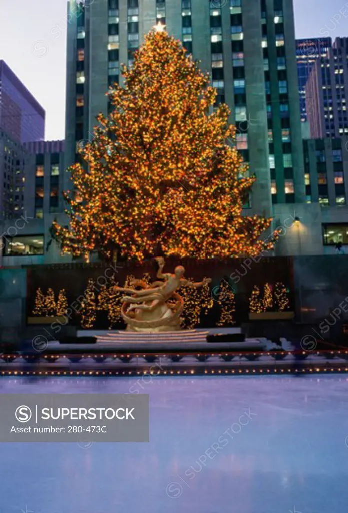 Christmas tree in front of a building lit up at dusk, Rockefeller Center, Manhattan, New York City, New York, USA