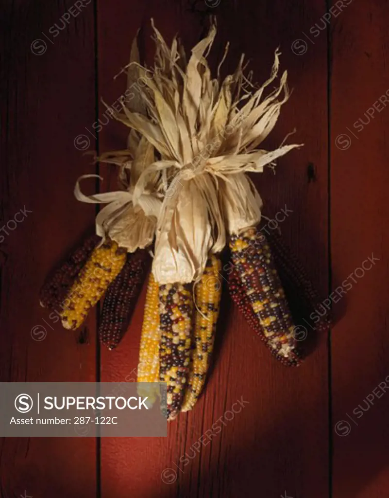 Close-up of Indian corn
