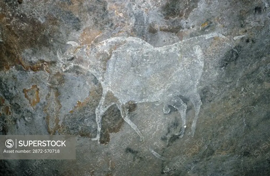 Cave Paintings Bhimbetka India 