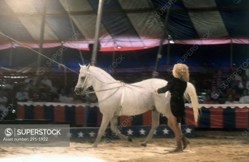 Side profile of a woman and a horse performing in a circus