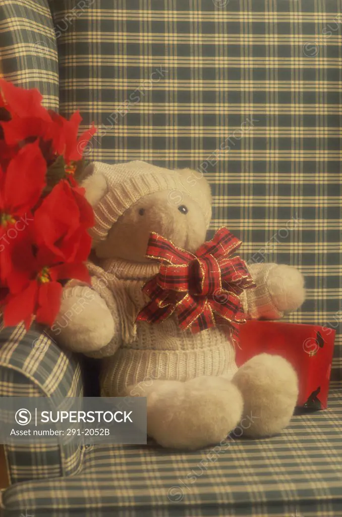Close-up of a teddy bear on a couch