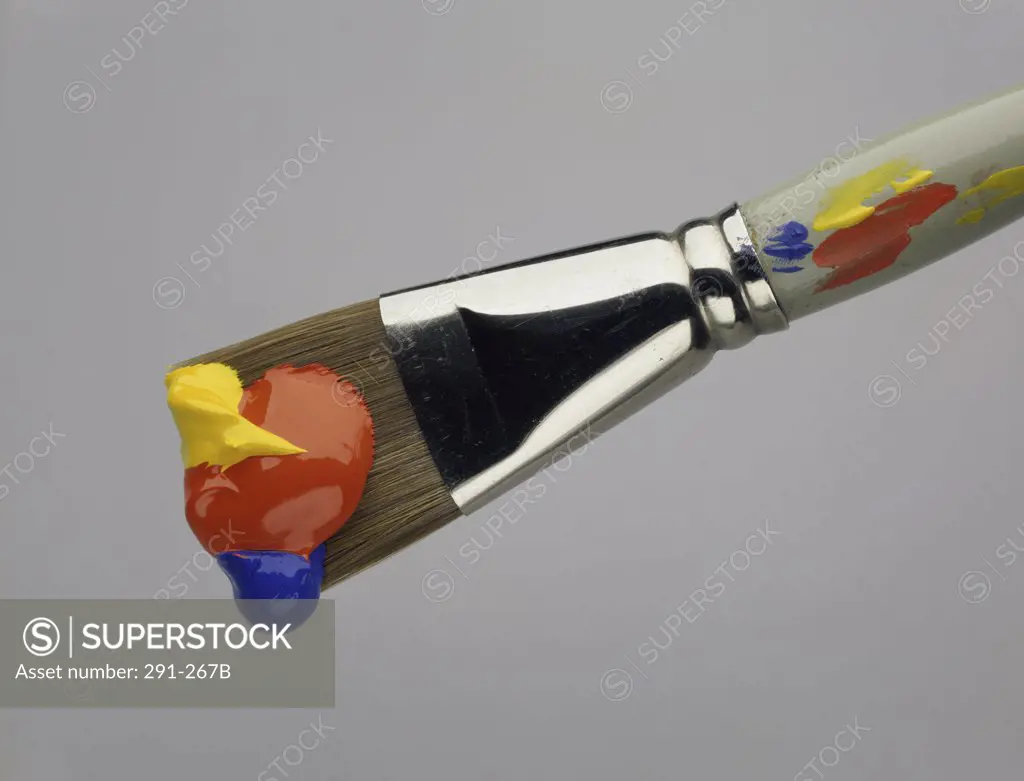 Close-up of a paintbrush with paint on it