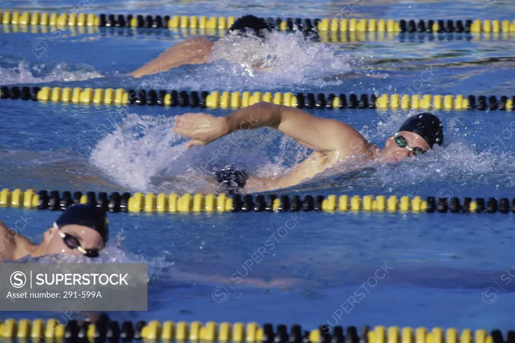 Three swimmers racing in a swimming pool