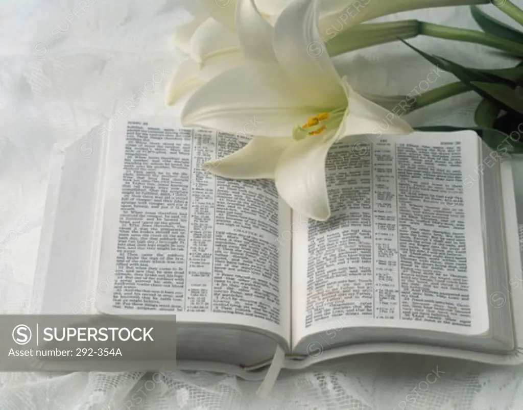 Close-up of the Bible and Easter lilies
