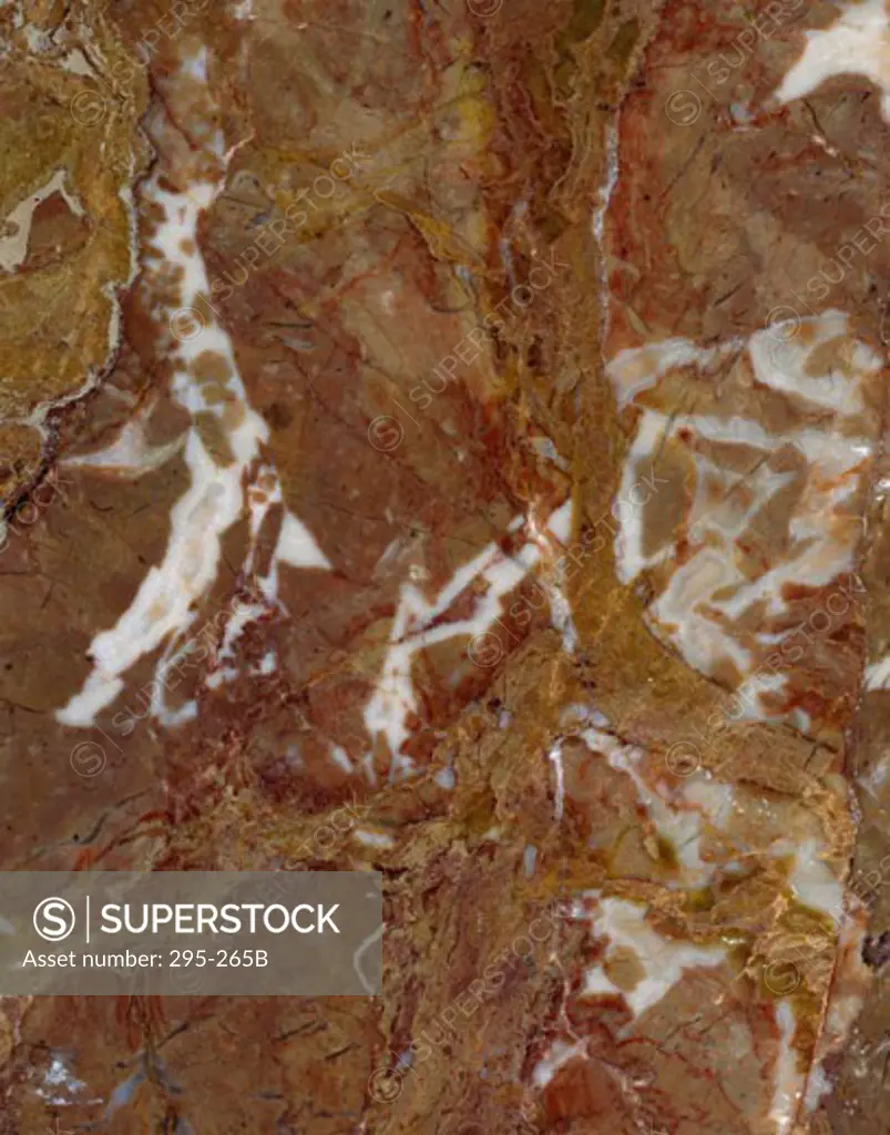 Close-up of Breccia Pernice marble