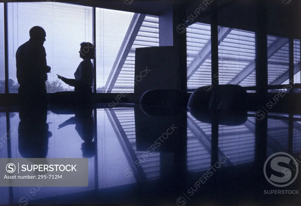 Silhouette of a businessman and a businesswoman talking in a conference room