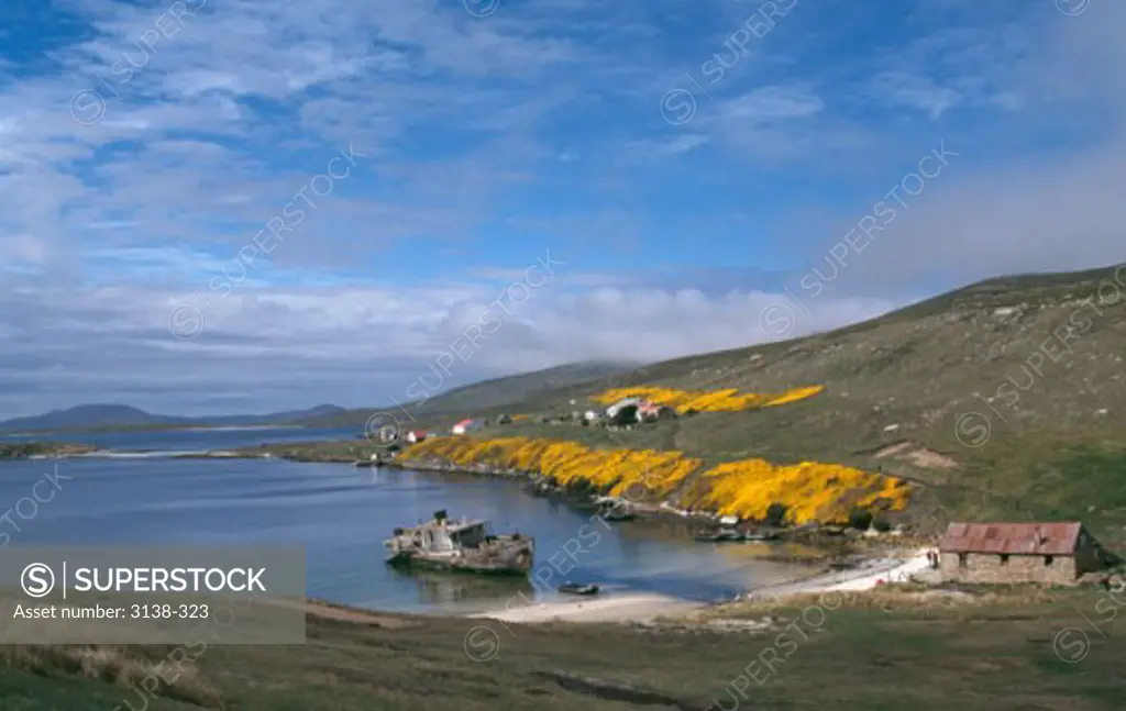 High angle view of a boat at the coast, Carcass Island, Falkland Islands