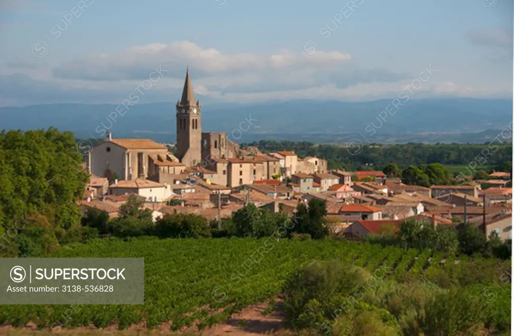 High angle view of vineyards with a church in a village, Narbonne, Aude, Languedoc-Rousillon, France
