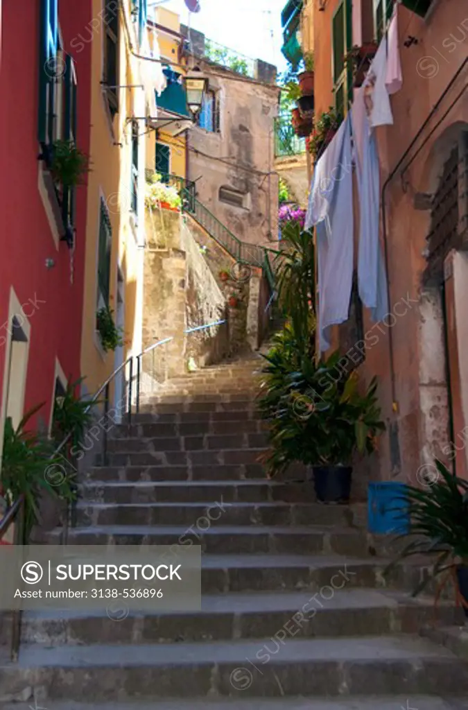 Stepped walkway in a town, Vernazza to Monterosso, La Spezia Province, Liguria, Italy