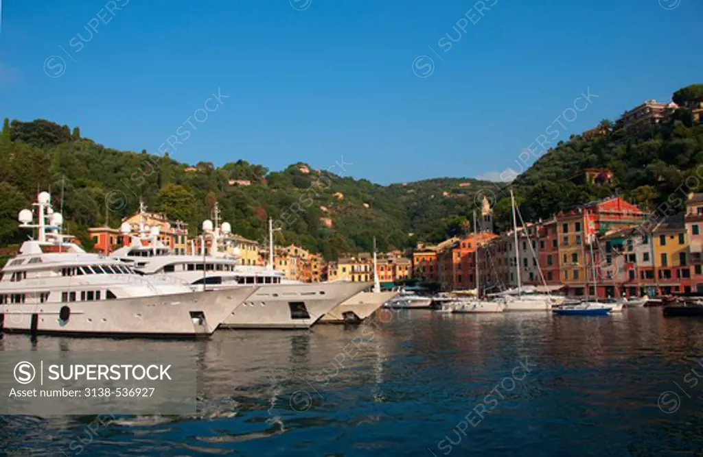 Yachts at a harbor, Portofino, Genoa Province, Liguria, Italy
