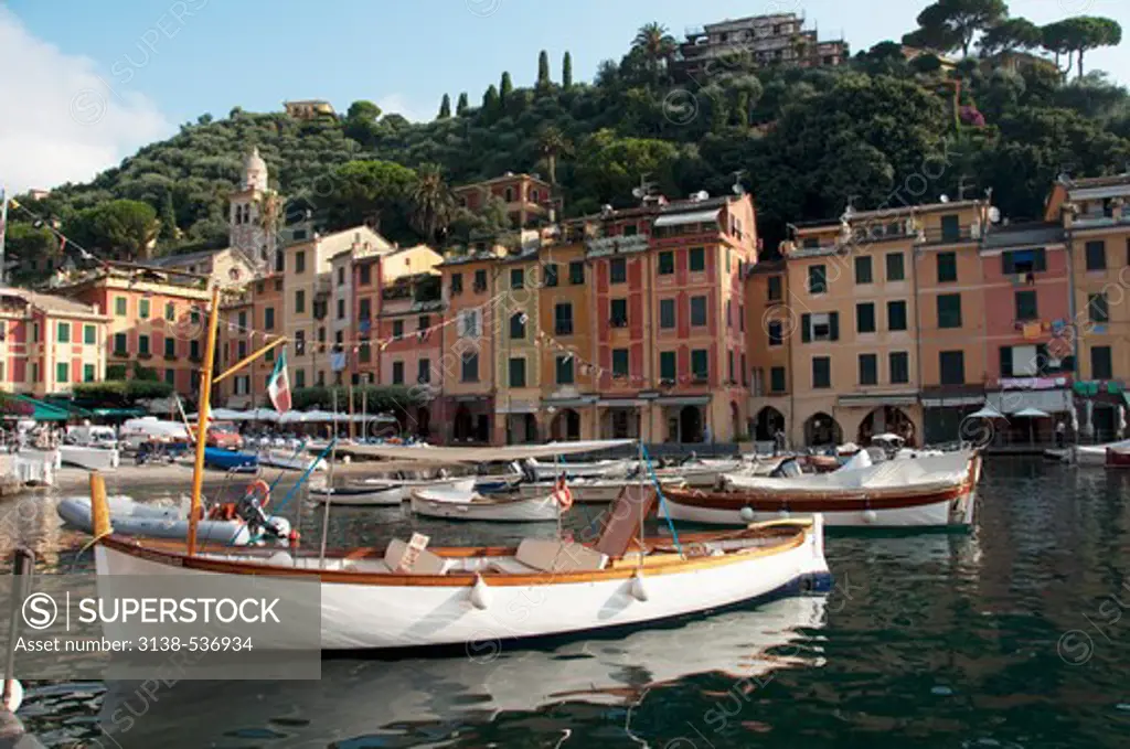 Boats at a harbor, Portofino, Genoa Province, Liguria, Italy