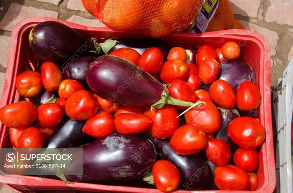 Eggplants and tomatoes for sale at a market stall, Chapada Diamantina National Park, Bahia, Brazil