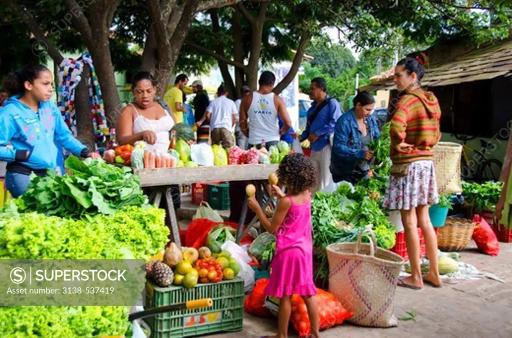 Vegetables and fruits for sale at a market, Vale Do Capao, Bahia, Brazil