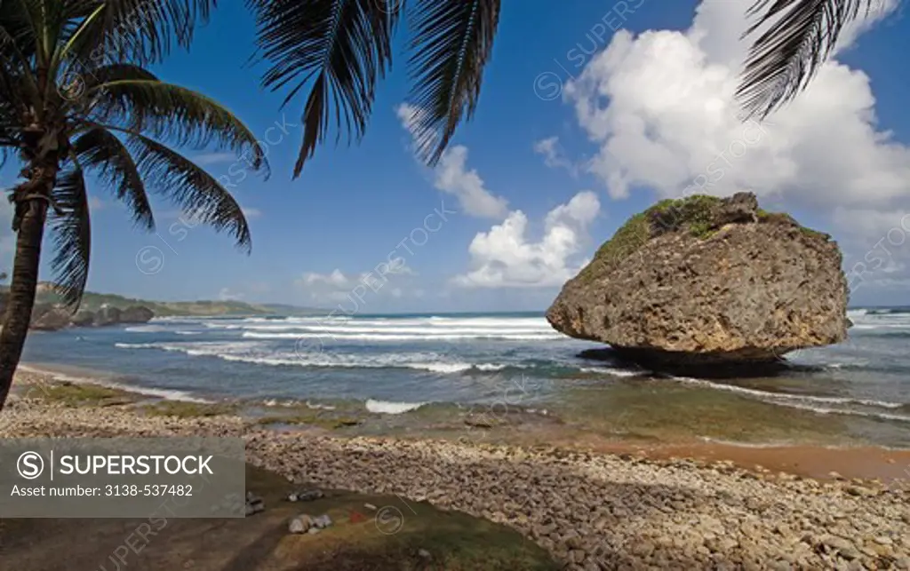 Rock on the beach, Bathsheba, Barbados