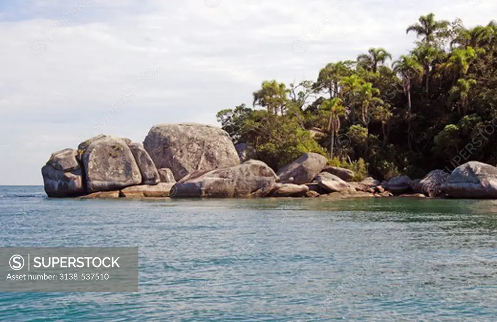 Trees with boulders at coast, Porto Belo, Santa Catarina, Brazil