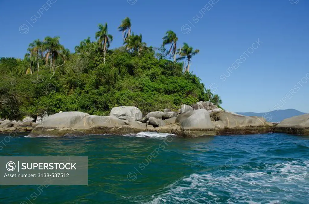 Trees with rocks at coast, Porto Belo, Santa Catarina, Brazil