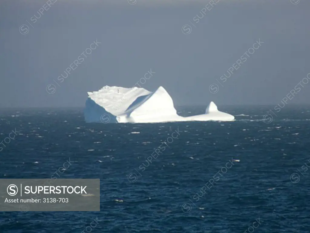 Iceberg in the sea, Bransfield Strait, Antarctica