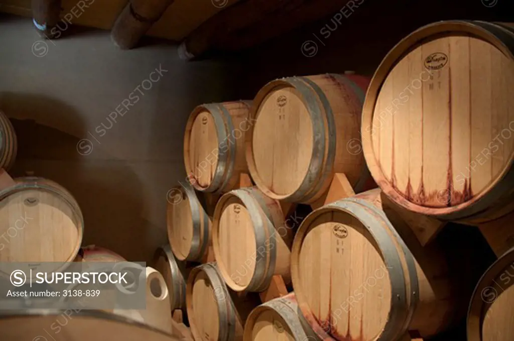 Wine barrels in a cellar, Elqui Valley, Coquimbo, Chile