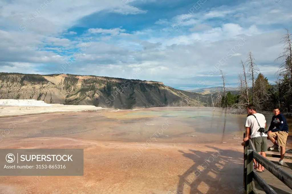 usa, wyoming, parco nazionale di yellowstone, mammoth hot spring