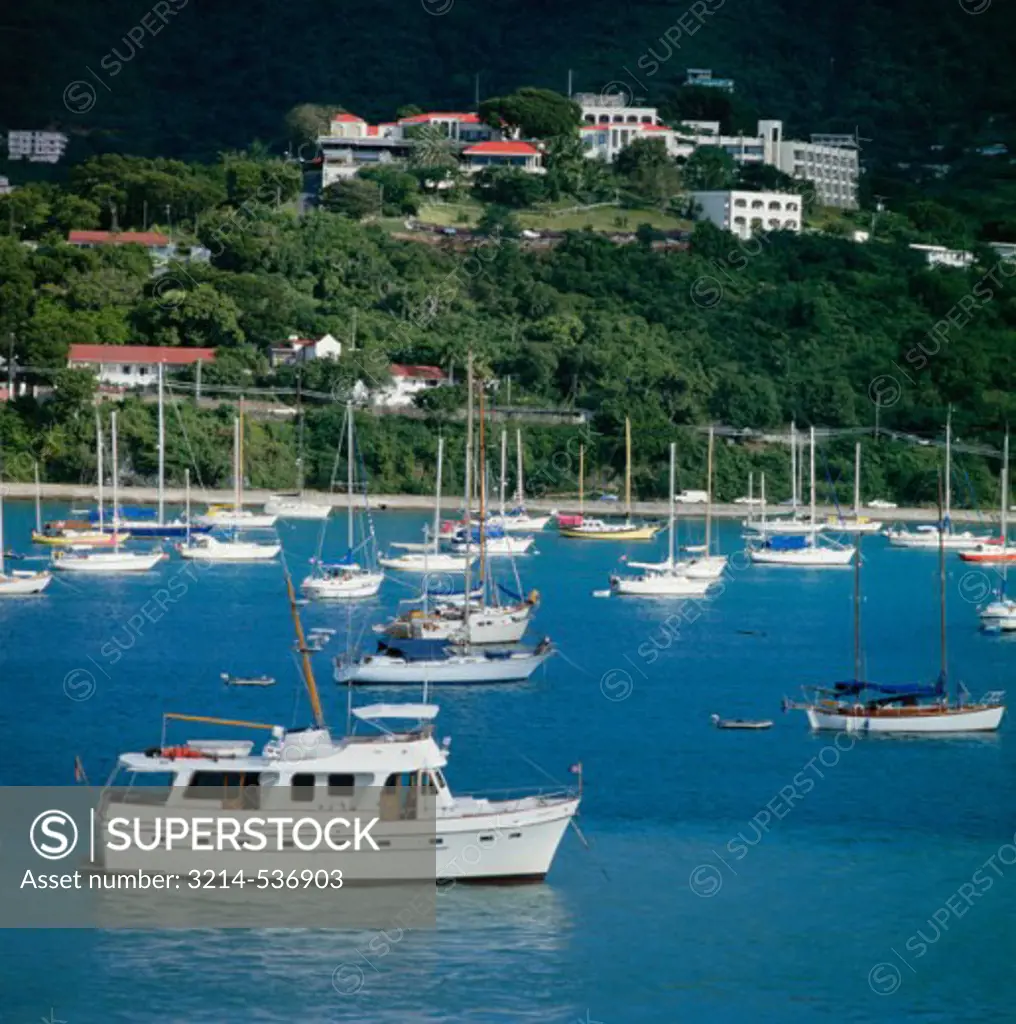 High angle view of sailboats moored in a harbor, Charlotte Amalie, St. Thomas, US Virgin Islands, USA