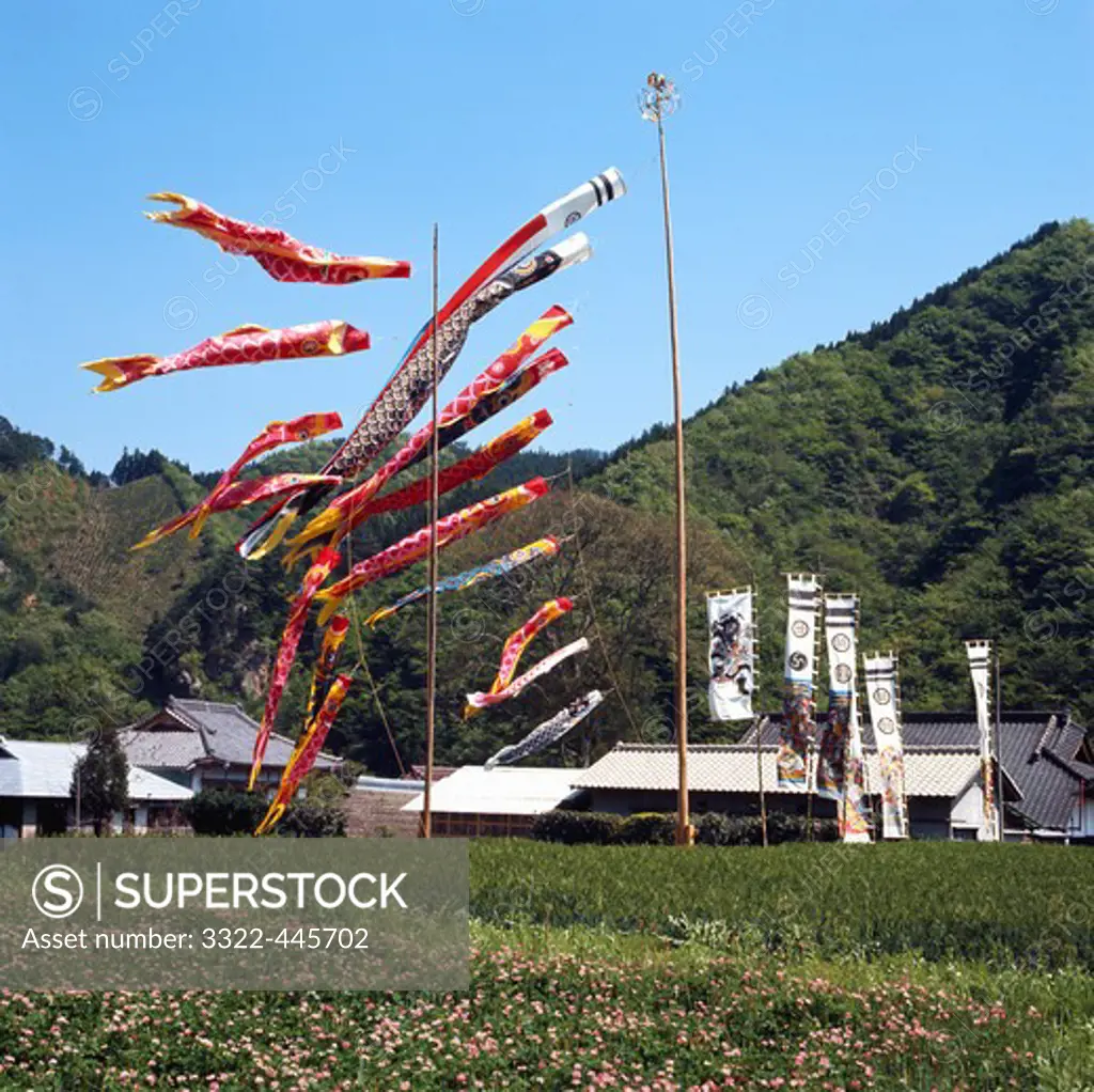 Japan, Fukushima Prefecture, Kodomo-No-Hi Festival, Carp Banners on Children's Day