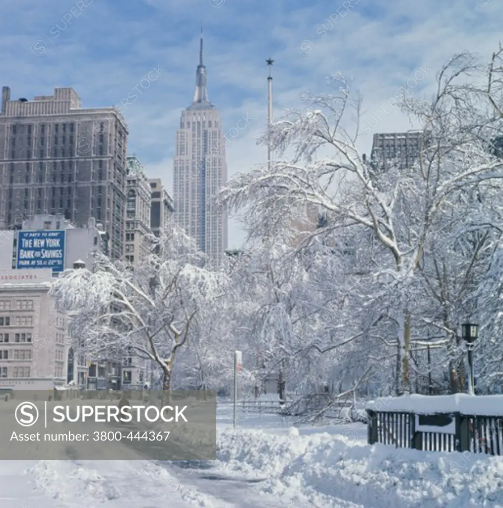 Trees and a road covered with snow in front of skyscrapers, Madison Square, Manhattan, New York City, New York, USA