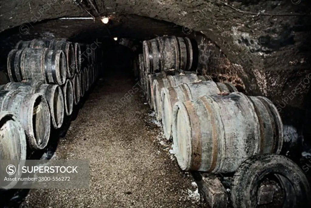 Wine Cellar Burgundy France