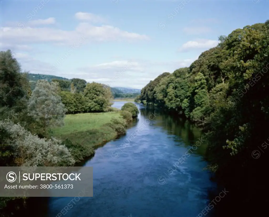 River running through a forest, Blackwater River, Lismore, Ireland