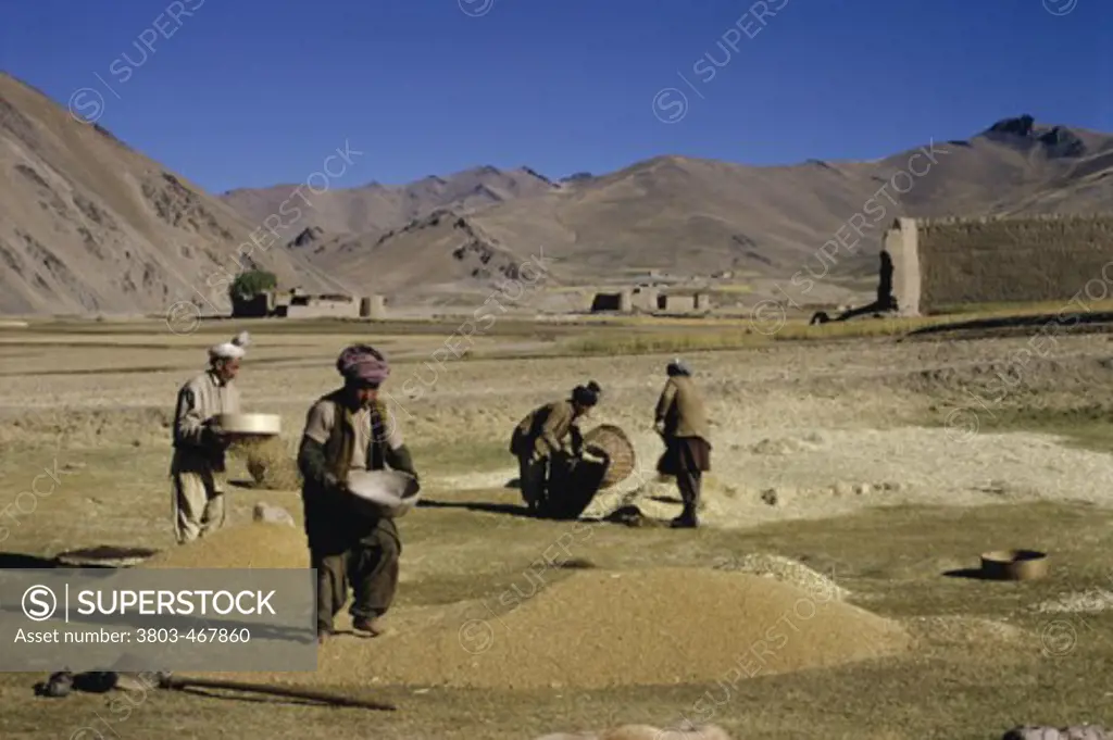 Threshing Wheat Hindu Kush Mountains Afghanistan