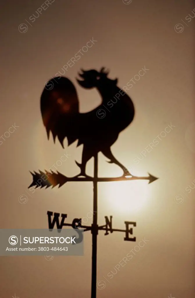 silhouette of a Rooster windvane