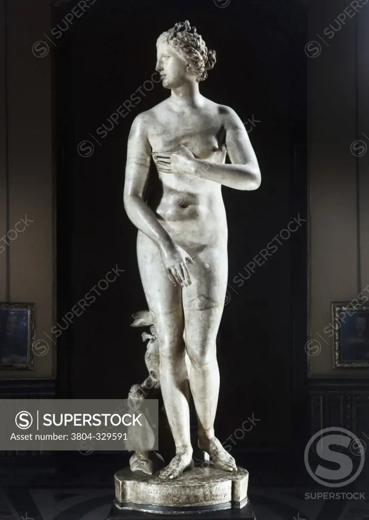 Medici Venus Greek Art Marble Galleria degli Uffizi, Florence, Italy