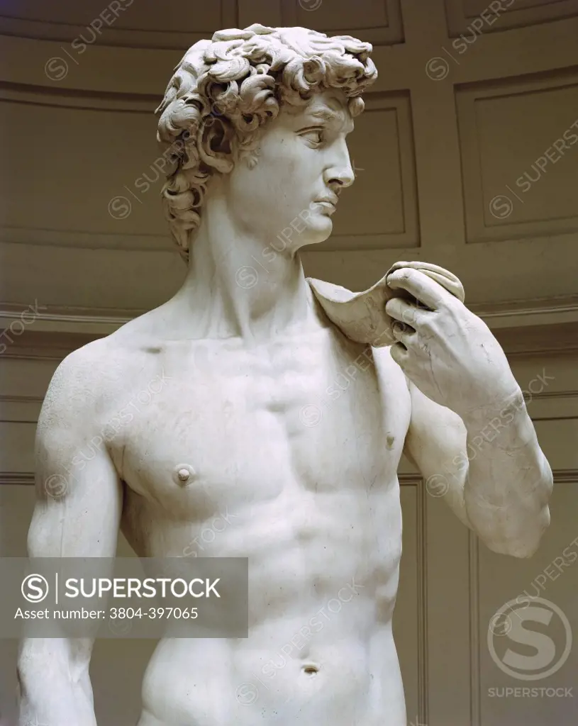 David (Detail)  ca.1501-04 Michelangelo Buonarroti (1475-1843 Italian) Marble  Galleria dell'Accademia, Florence