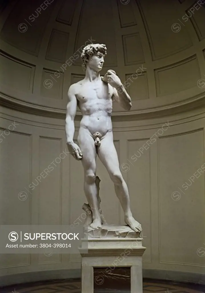 David 1501-04 Michelangelo Buonarroti (1475-1564 Italian) Marble Academy of Fine Arts, Florence, Italy