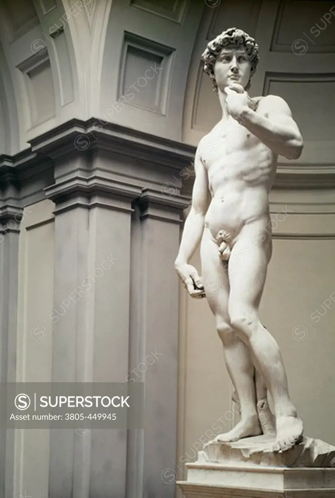 David 1504 Michelangelo Buonarroti (1475-1564 Italian) Marble Galleria dell 'Accademia, Florence, Italy