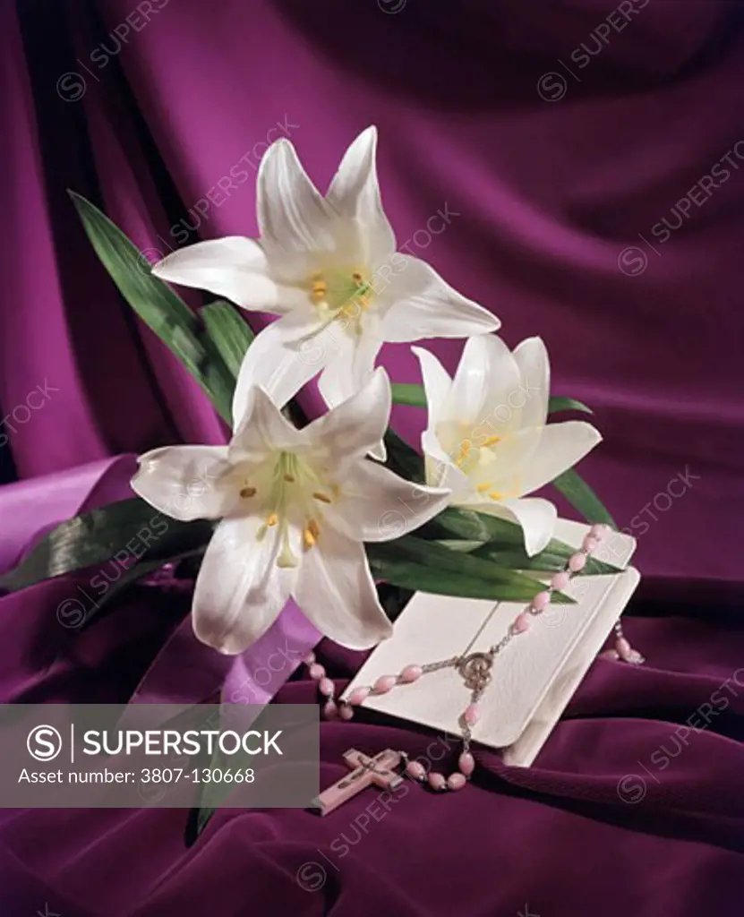 Easter Lily flowers and rosary beads with the Bible