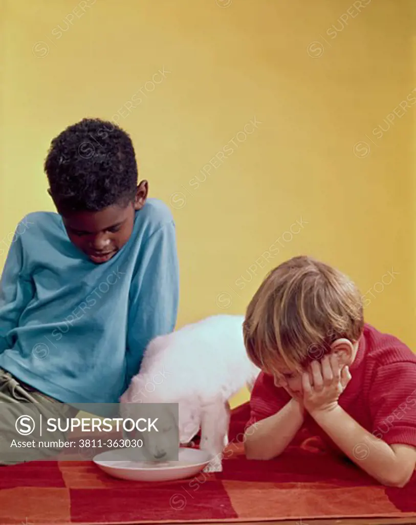 Close-up of two boys looking at a puppy drinking milk from a saucer