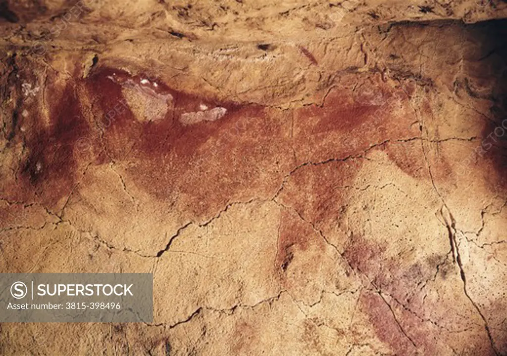 Cave Paintings-Animals Prehistoric Art Altamira Caves, Santillana del Mar, Spain