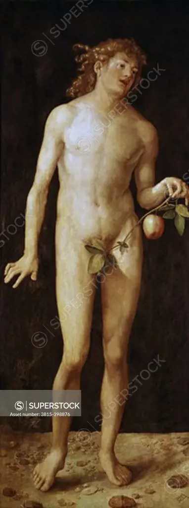 Adam 1507 Albrecht Durer (1471-1528 German) Oil On Wood Panel Museo del Prado, Madrid, Spain