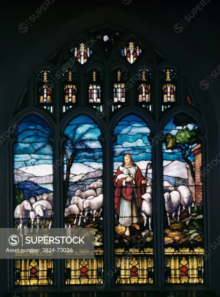 Christ as the Good Shepherd Stained Glass 